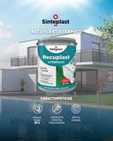 sinteplast  recupast atermico blanco x 20lts