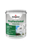 sinteplast profesional membrana frentes x 20lts